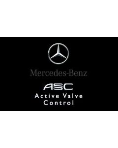 Milltek Active Valve Control Mercedes incl. inbouw