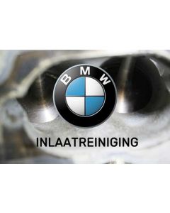 BMW Inlaatreiniging specialist
