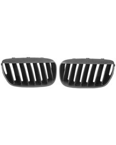 BMW X5 E53 grill nieren zwart 03-07