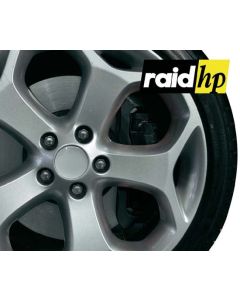 Remklauw verf zwart - Raid HP