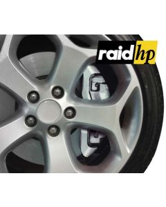 Remklauw verf zilver - Raid HP