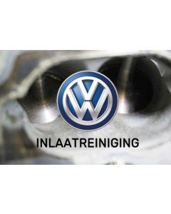 VW inlaatreiniging